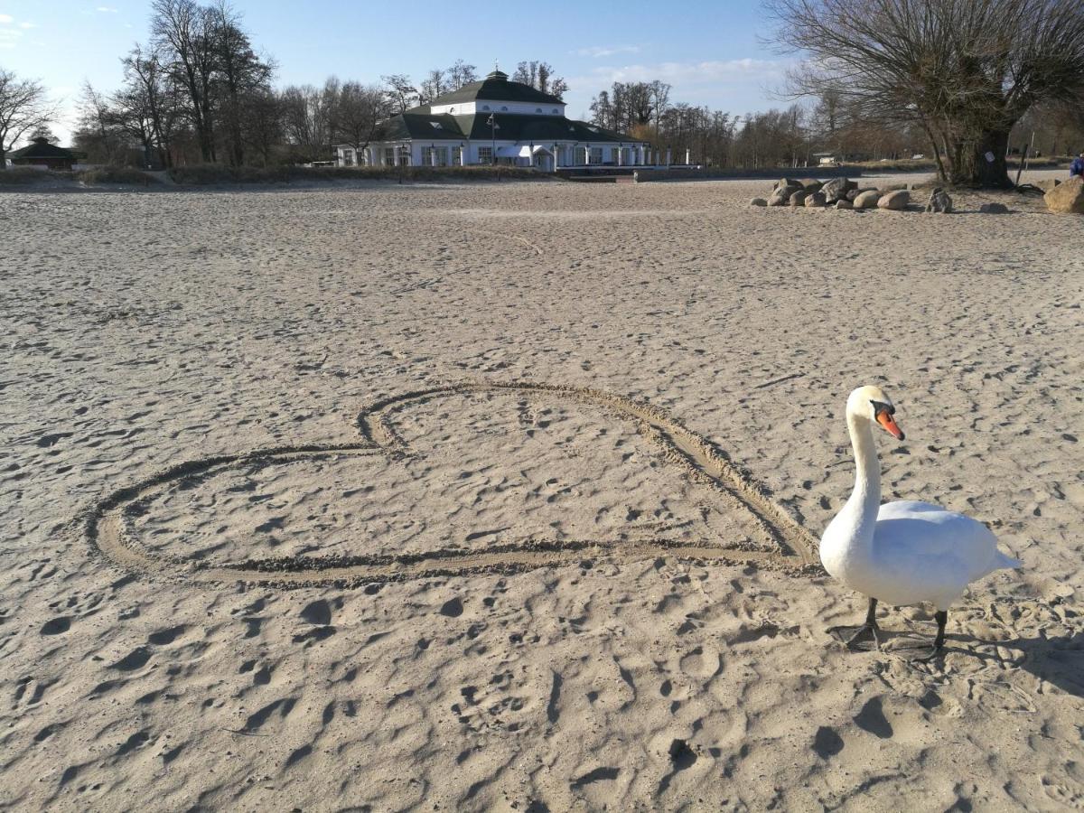 Fewo "Hafenblick" Ueckermünde Kültér fotó