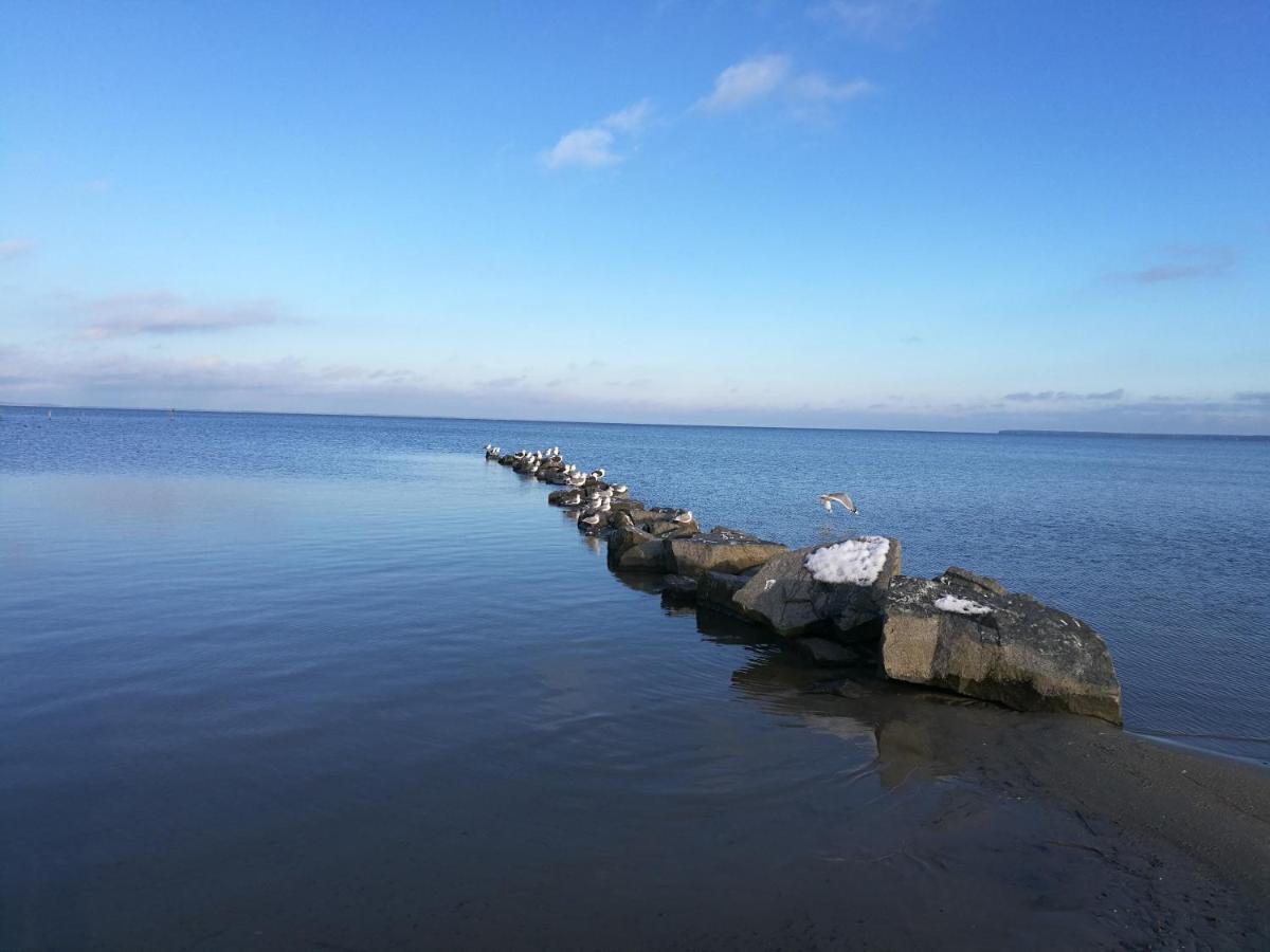 Fewo "Hafenblick" Ueckermünde Kültér fotó
